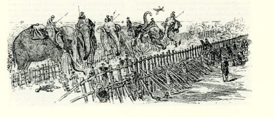 viet thanh chien dich