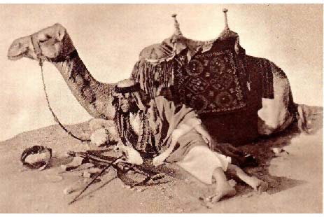 T. E. Lawrence với con lạc đà “Jedha” thân yêu của ông