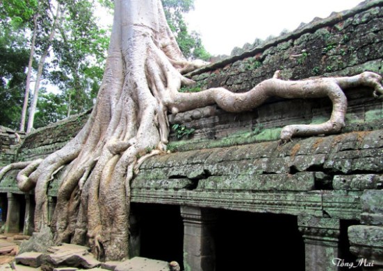 Ta Phrom – Photo: TốngMai