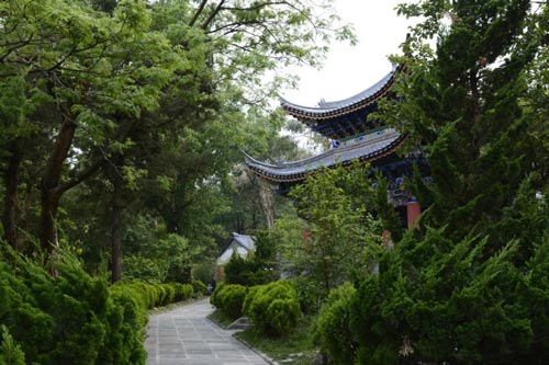 tu-bo-ngai-vang-xuong-toc-lam-tang