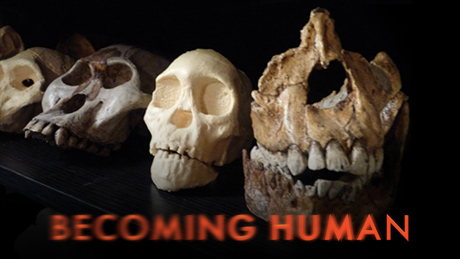 becoming-human-vi.jpg