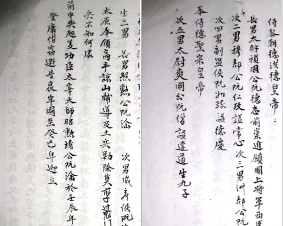 gia pha nguyen toc 2