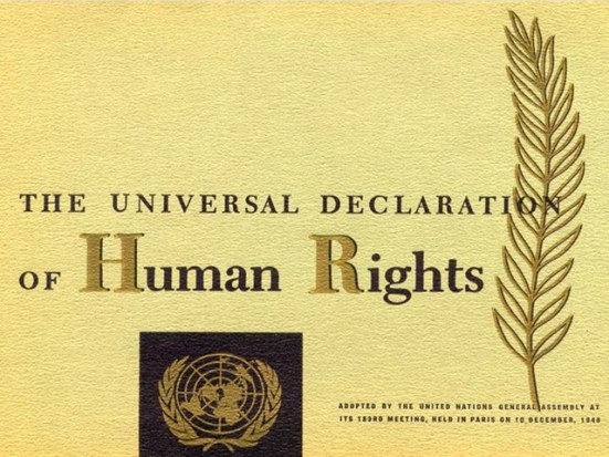 Pillar7SocietyUniversalDeclarationofHumanRights.jpg