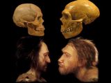 Nguồn gốc loài người: Người Khôn Ngoan thành công hơn người&nbsp;Neanderthal