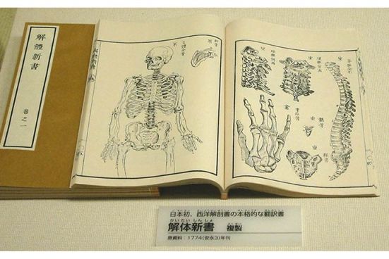 Japanese_on_Western_anatomy