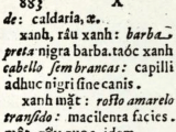 Tiếng Việt thời LM de Rhodes: các từ chỉ màu sắc như ‘mùi xanh, sắc xanh, sắc biếc’ (phần&nbsp;18)