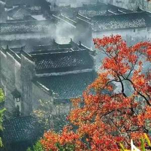 su than doan nguyen tuan.jpeg