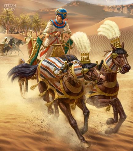 207495969_2647558545537095_4724291409406210360_n