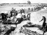 Số phận của ký ức Hà Nội 1954–1960: sự vắng lặng của tư&nbsp;liệu